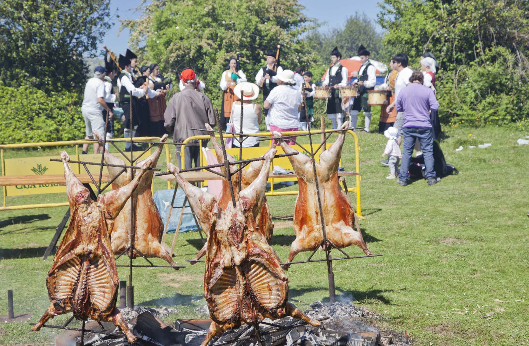 Corderos a la estaca en una romería asturiana